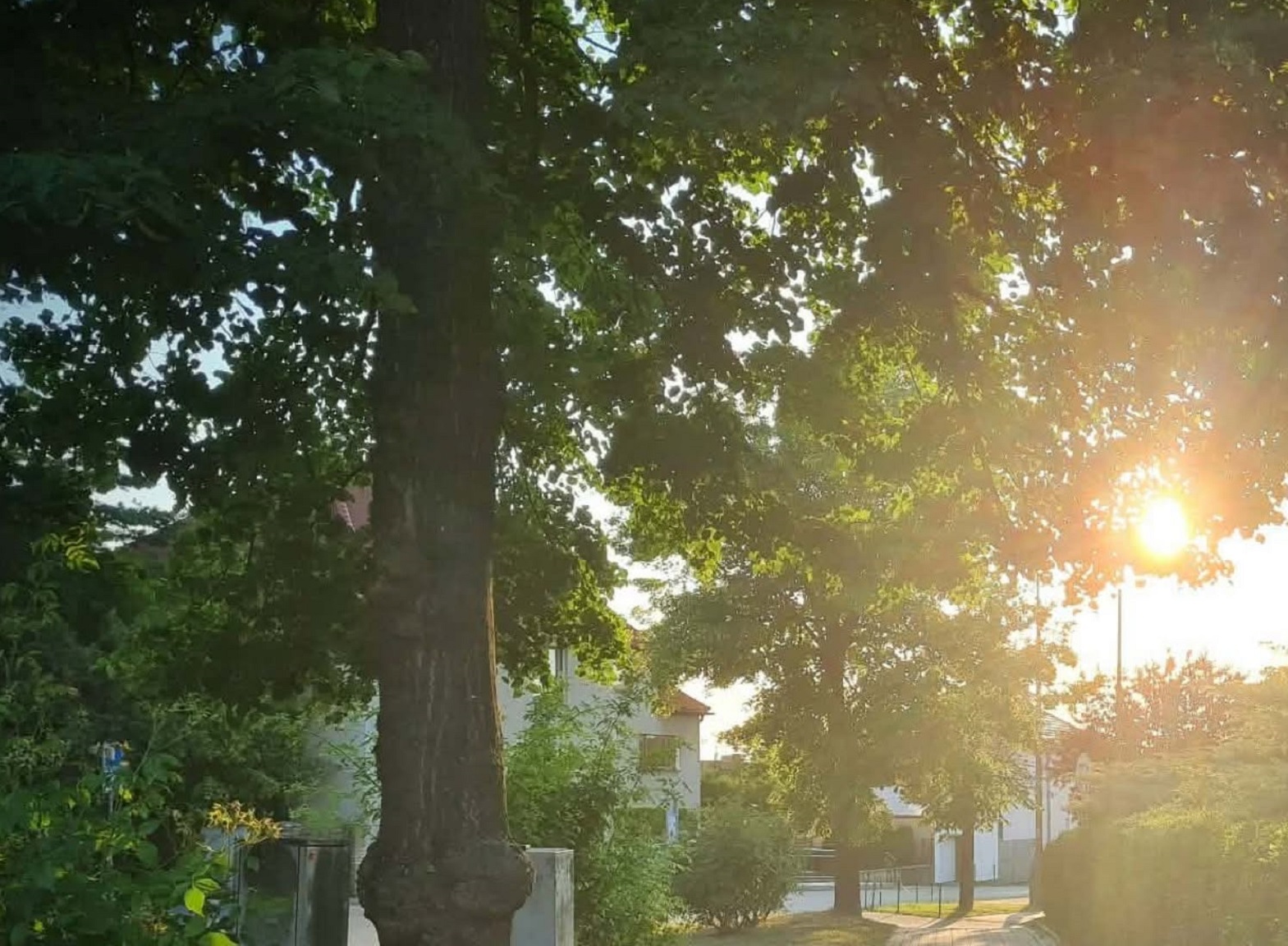 Zelenější Louny kapela hrající na předzahrádce